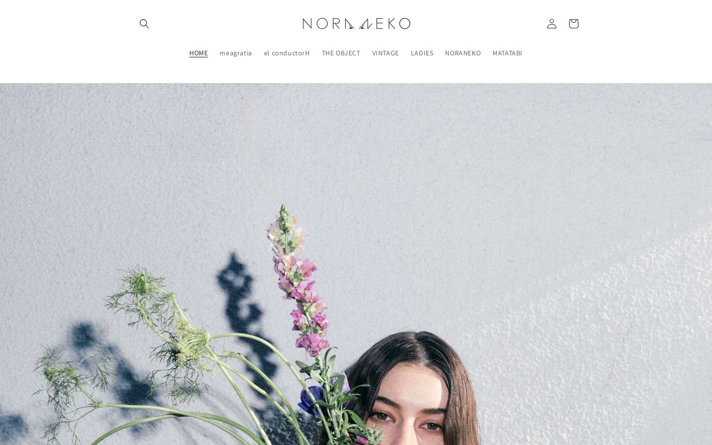 noranekostore.com homepage screenshot