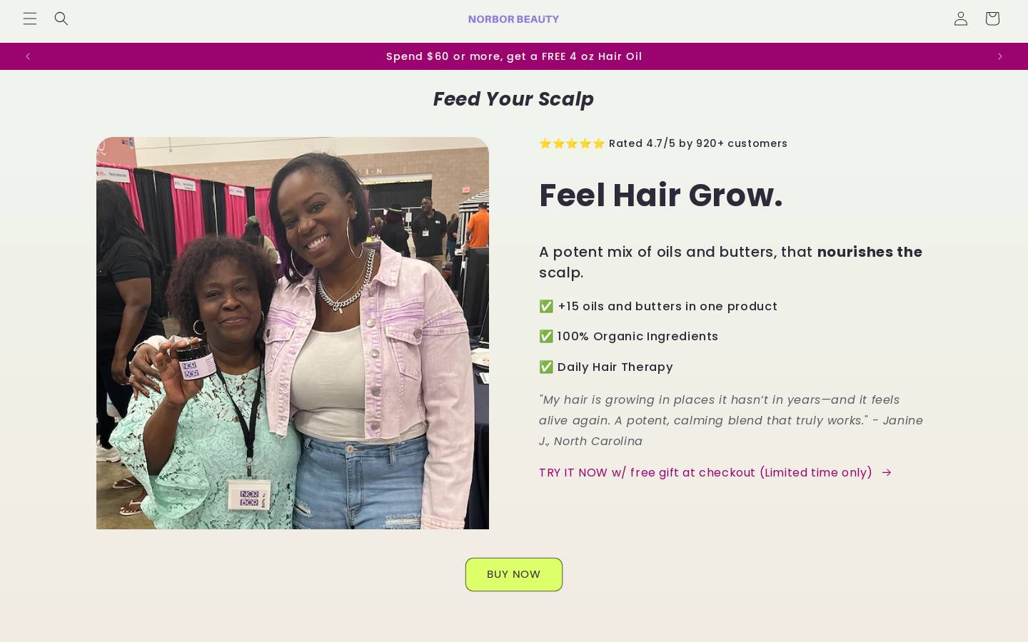 norborbeauty.com homepage screenshot