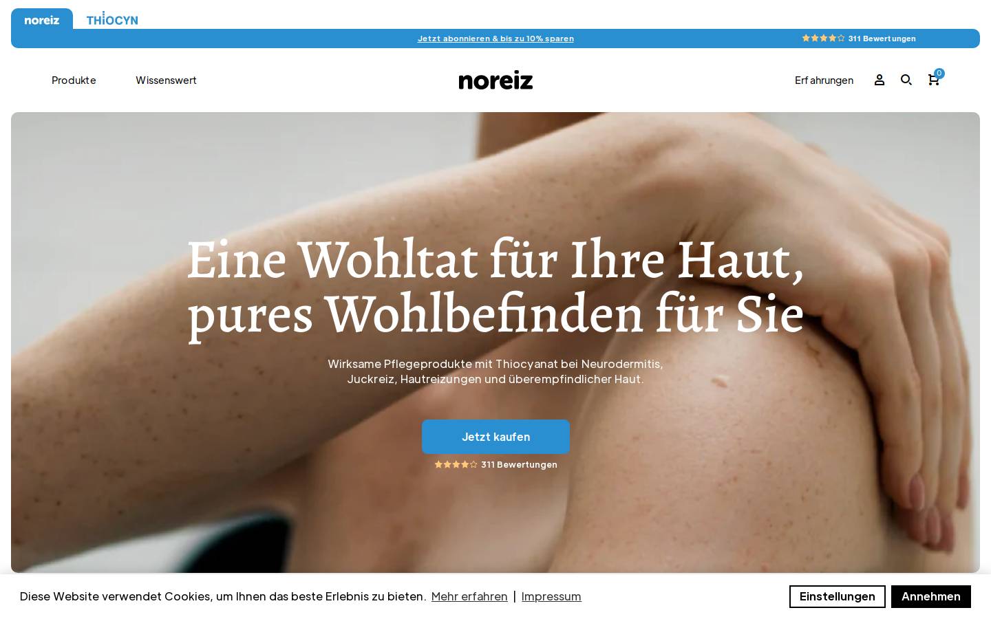 noreiz.com homepage screenshot