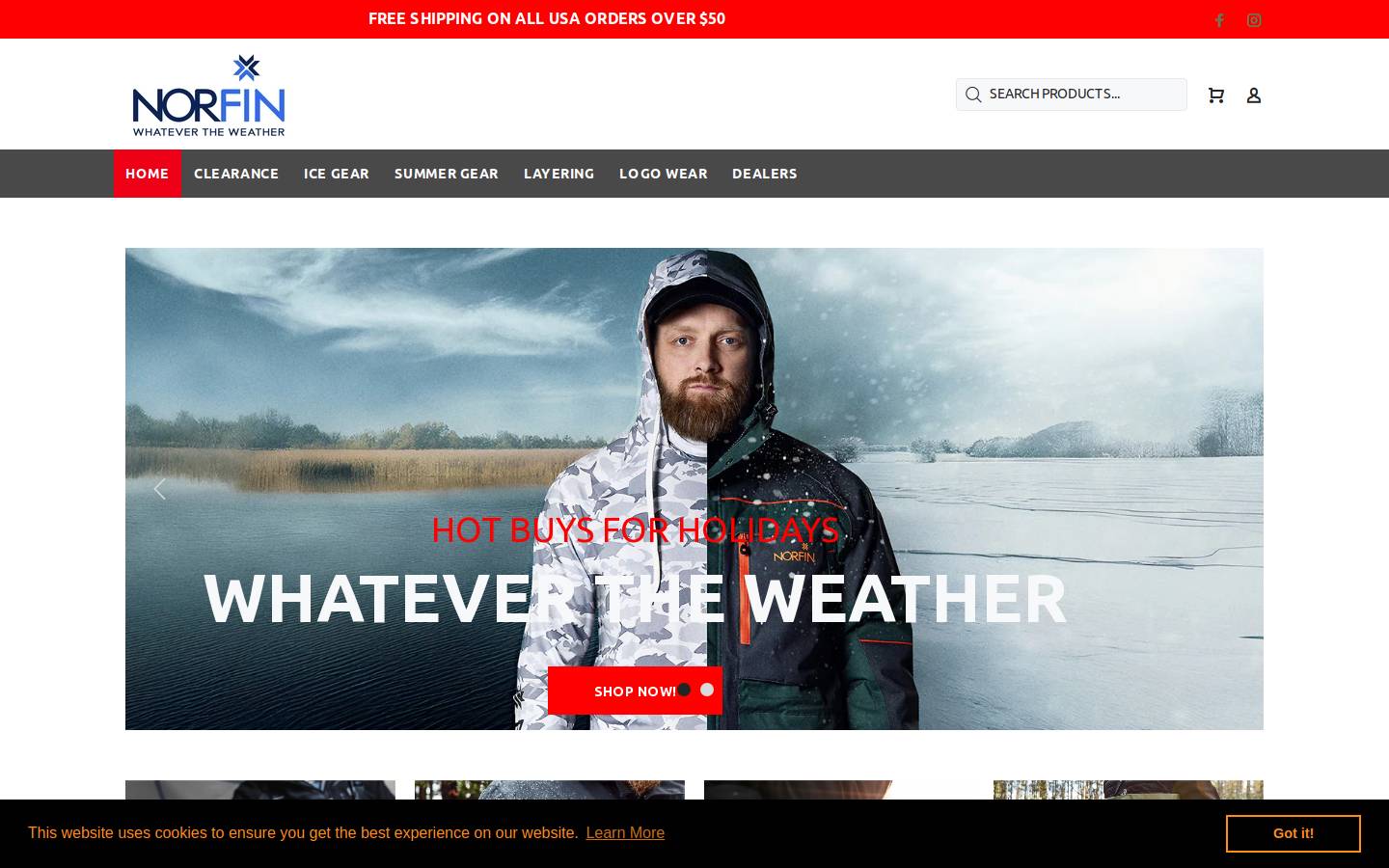 norfinusa.com homepage screenshot