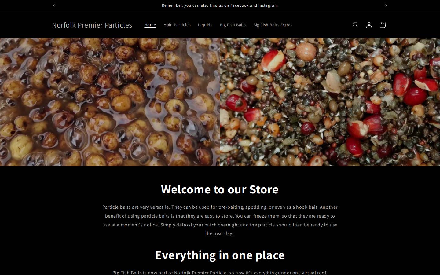 norfolkpremierparticles.org homepage screenshot