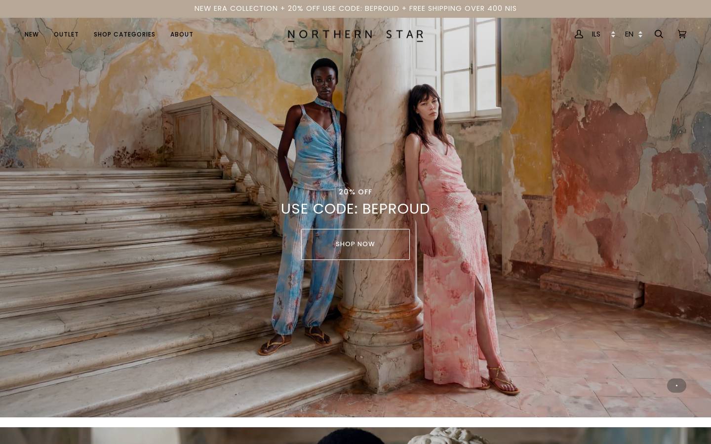 northern-star.co.il homepage screenshot