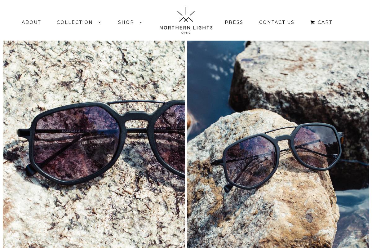 northernlightsoptic.com homepage screenshot