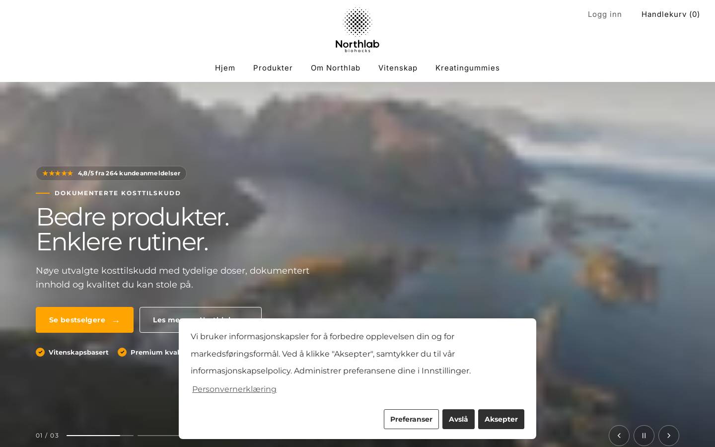 Northlab homepage screenshot