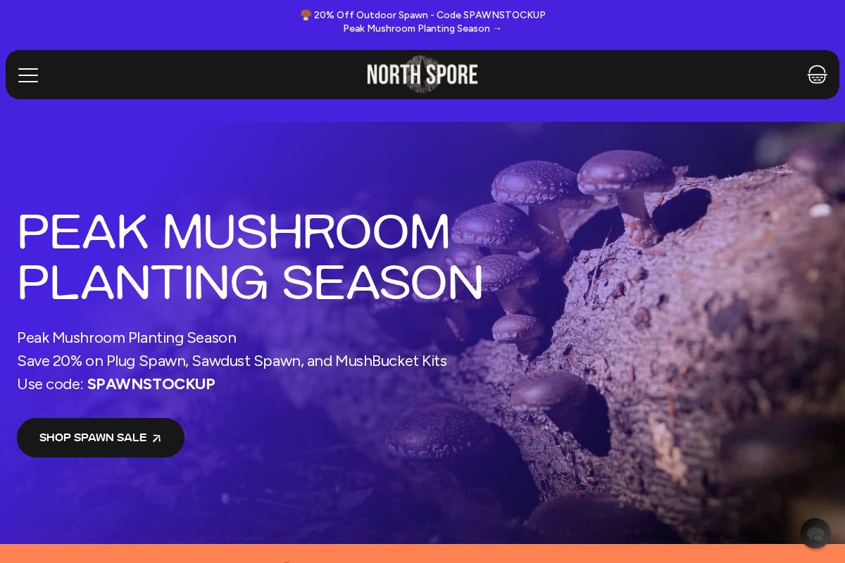 North Spore homepage screenshot