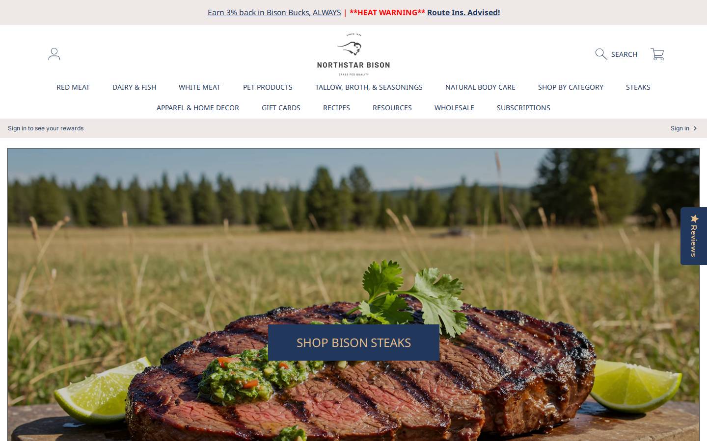 North Star Bison homepage screenshot