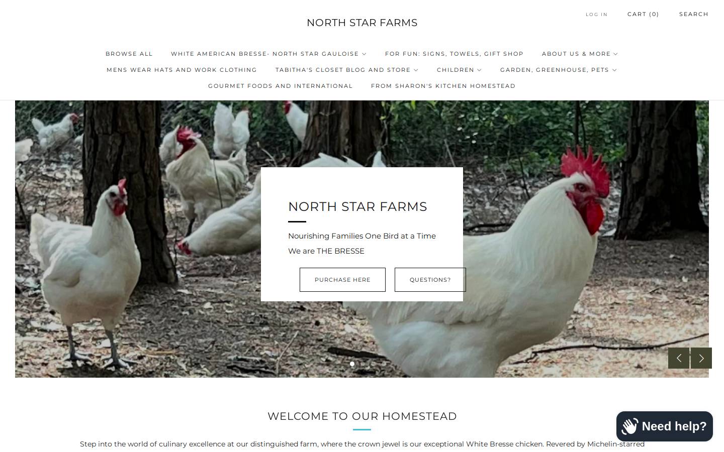 northstarbresse.com homepage screenshot