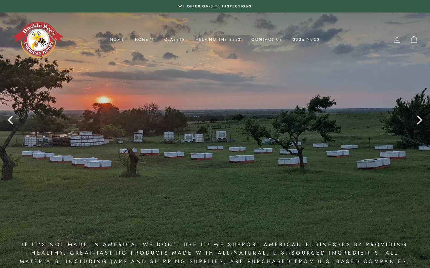 northtexasbeesupply.com homepage screenshot
