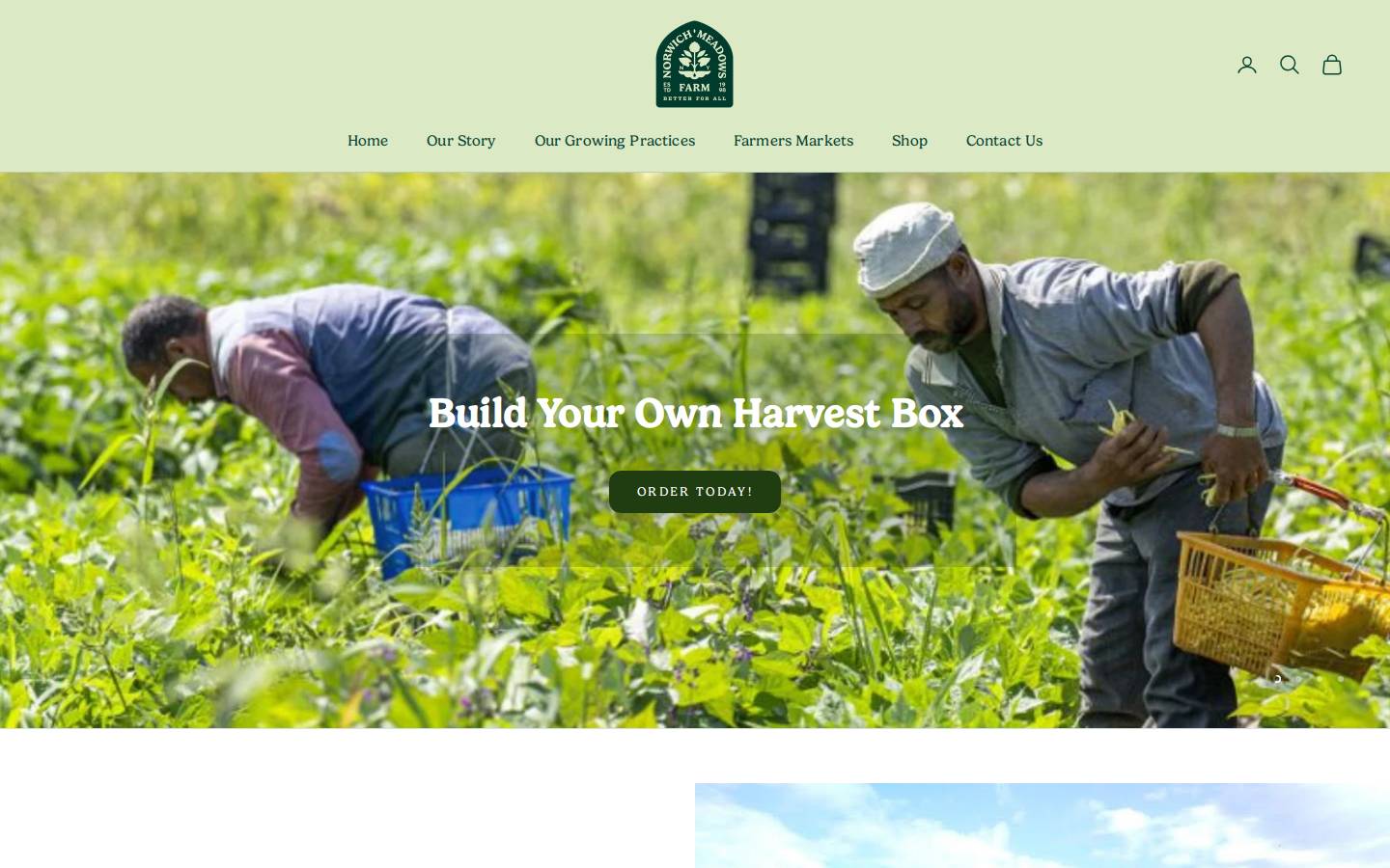 norwichmeadowsfarm.com homepage screenshot