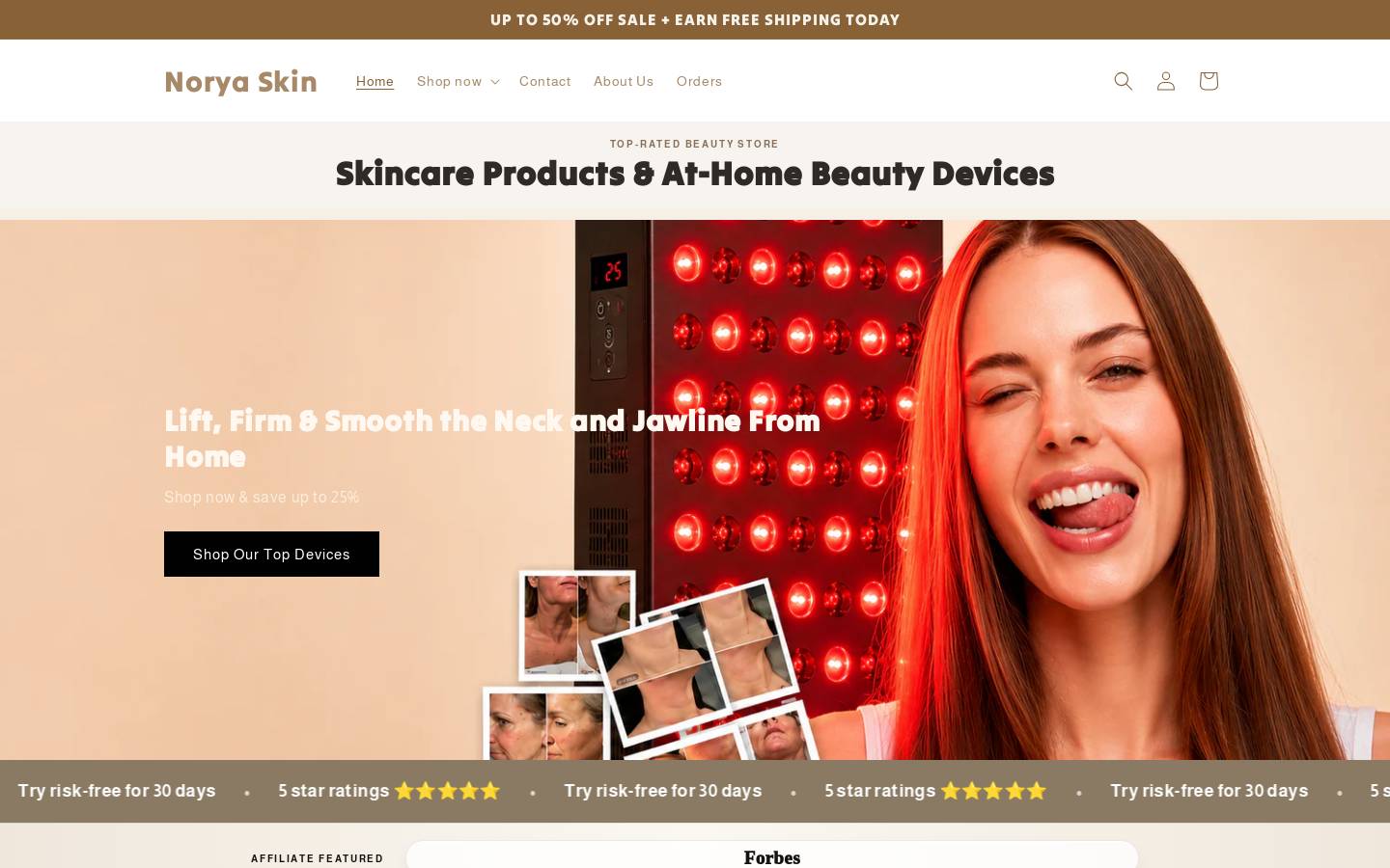 Norya skin homepage screenshot