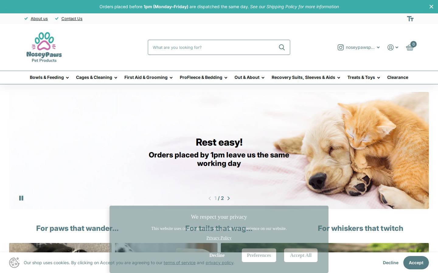 Noseypaws homepage screenshot