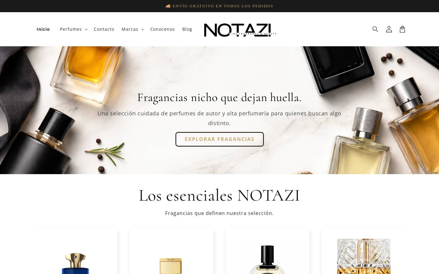 notazi.com homepage screenshot