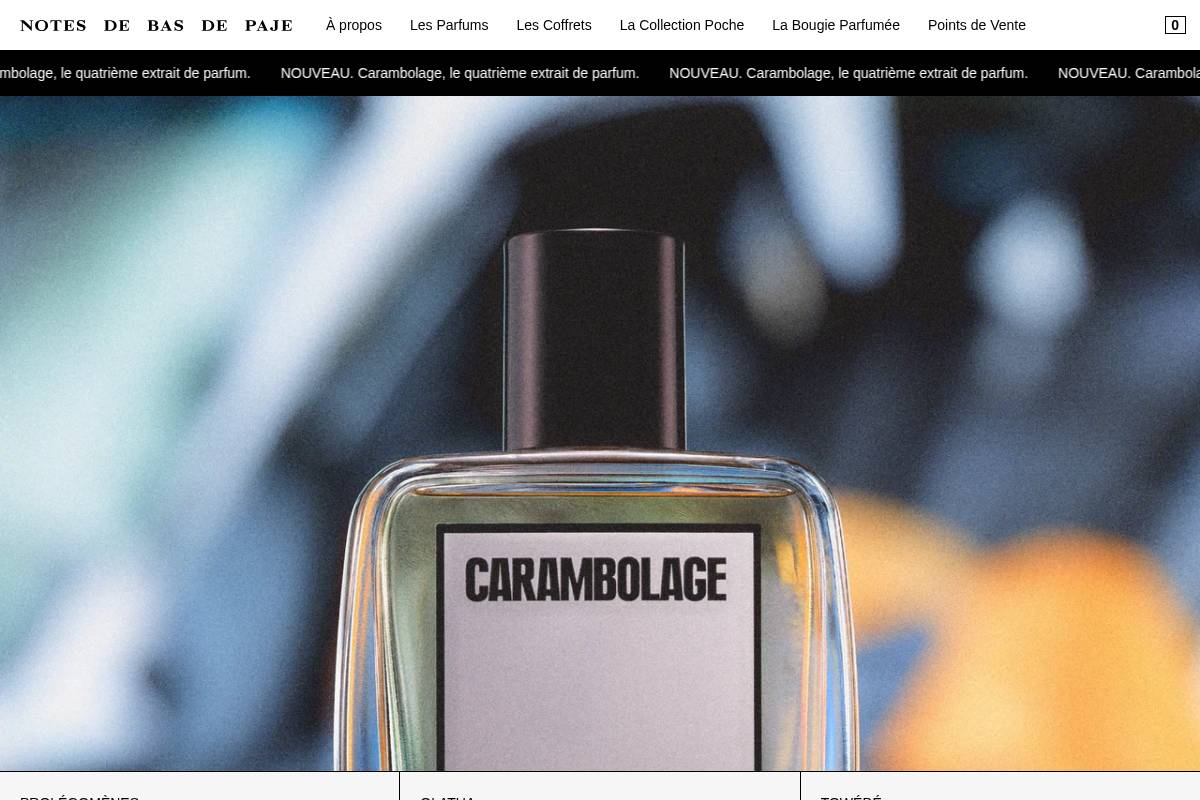 notesdebasdepaje.com homepage screenshot