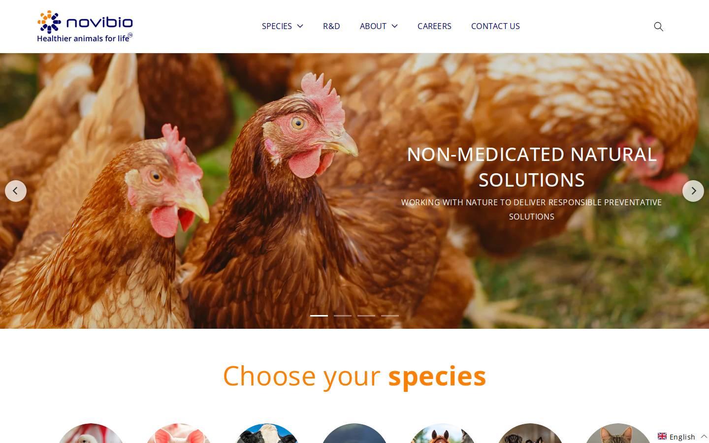novibio.com homepage screenshot