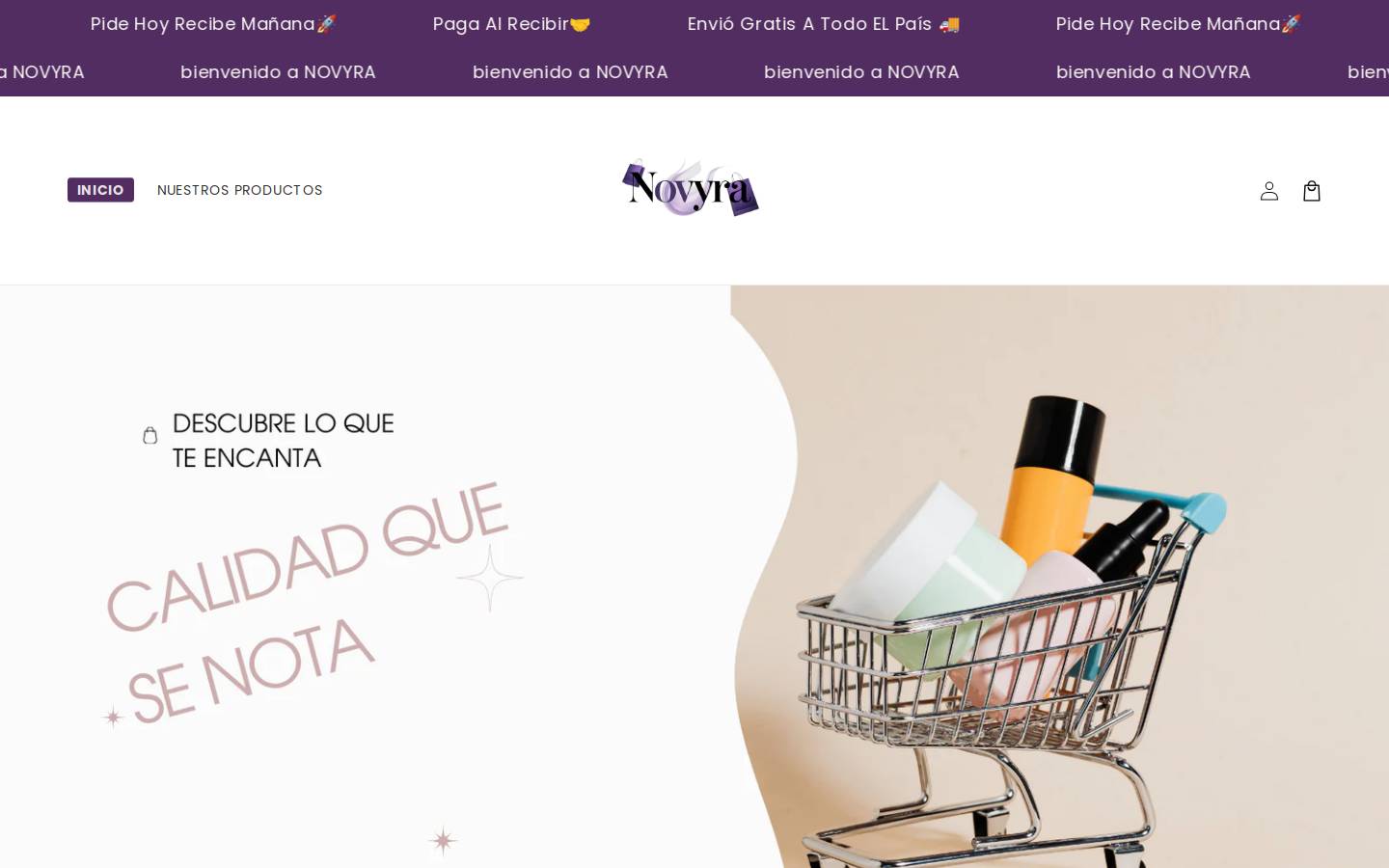 novyra-mx.com homepage screenshot