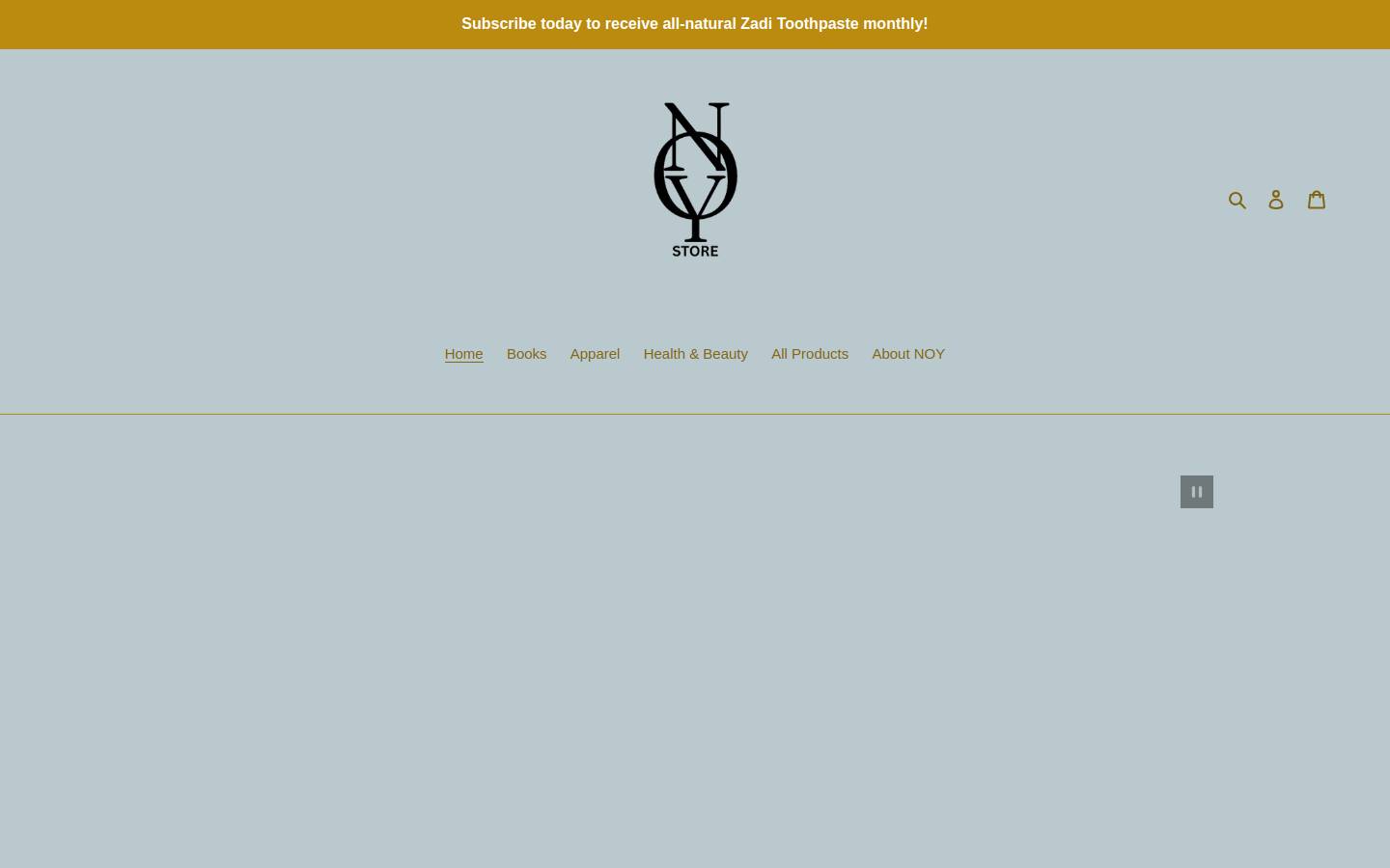 noystore.com homepage screenshot