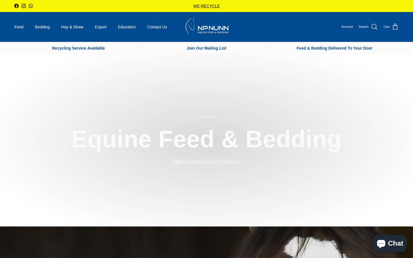 Npnunn homepage screenshot