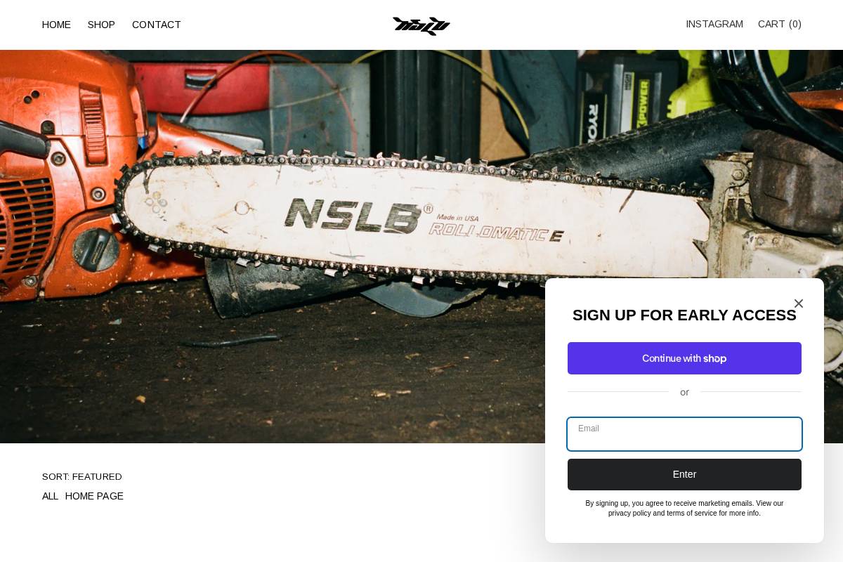 nslb.co.uk homepage screenshot