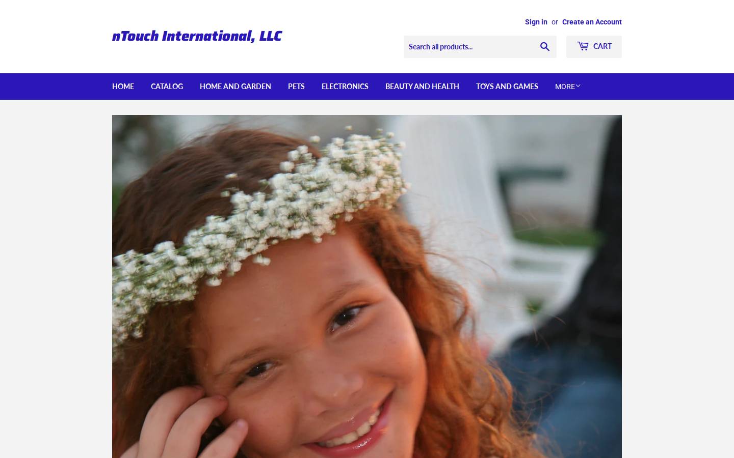 ntouchinternational.com homepage screenshot