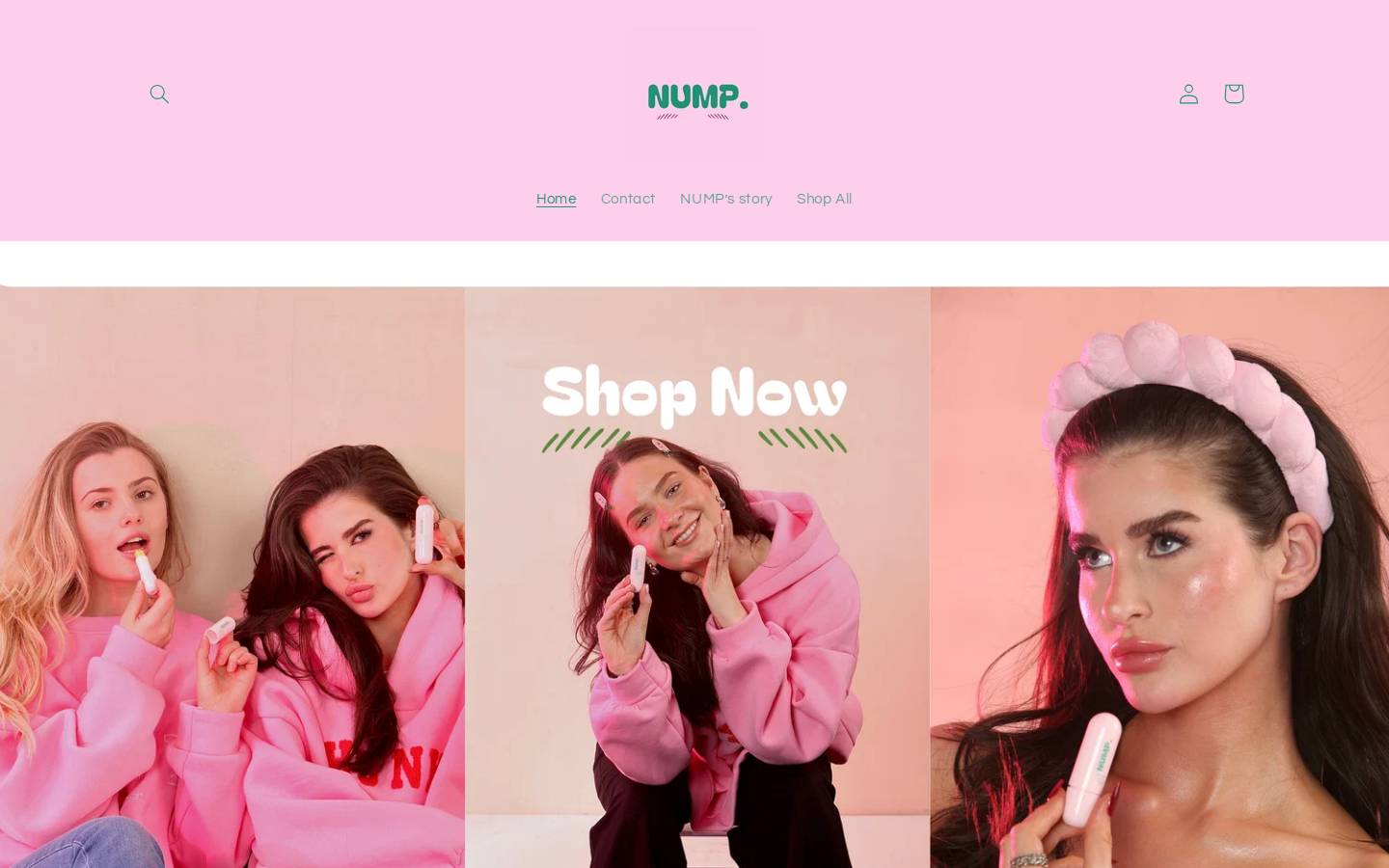 nump.co.uk homepage screenshot