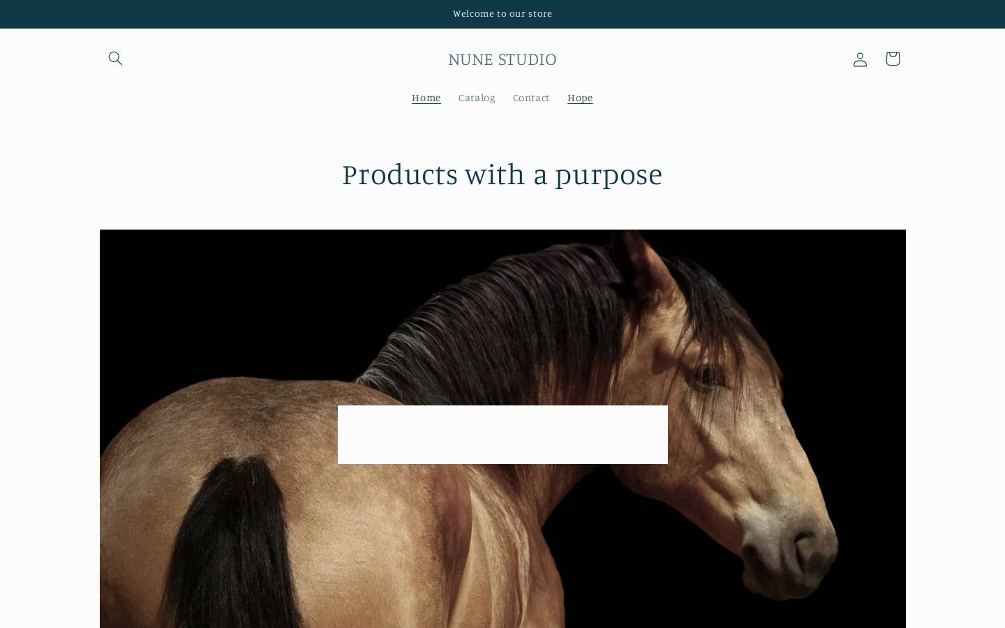 nunestudio.net homepage screenshot