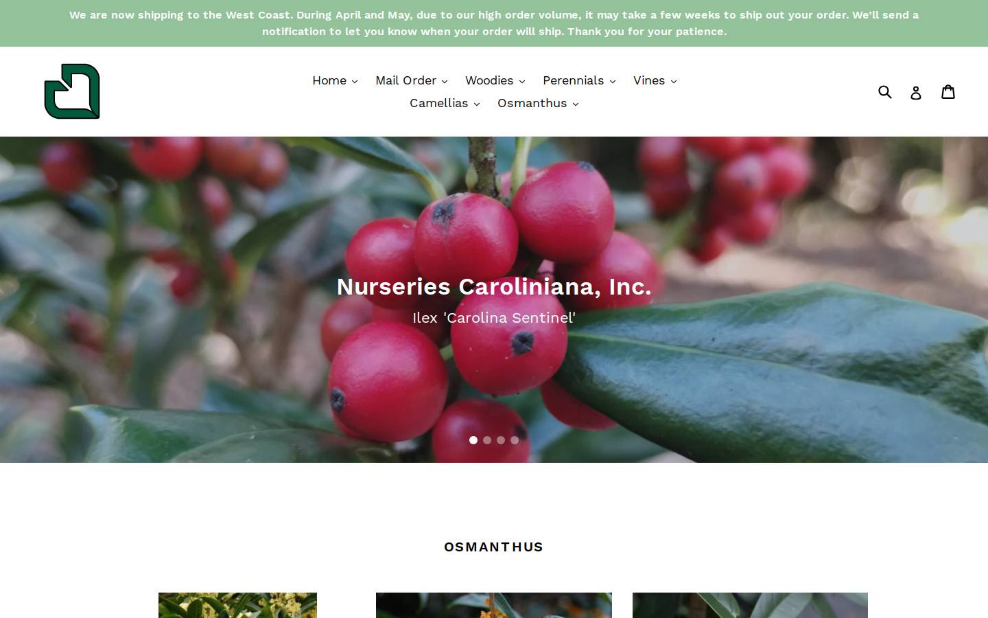 nurcar.com homepage screenshot