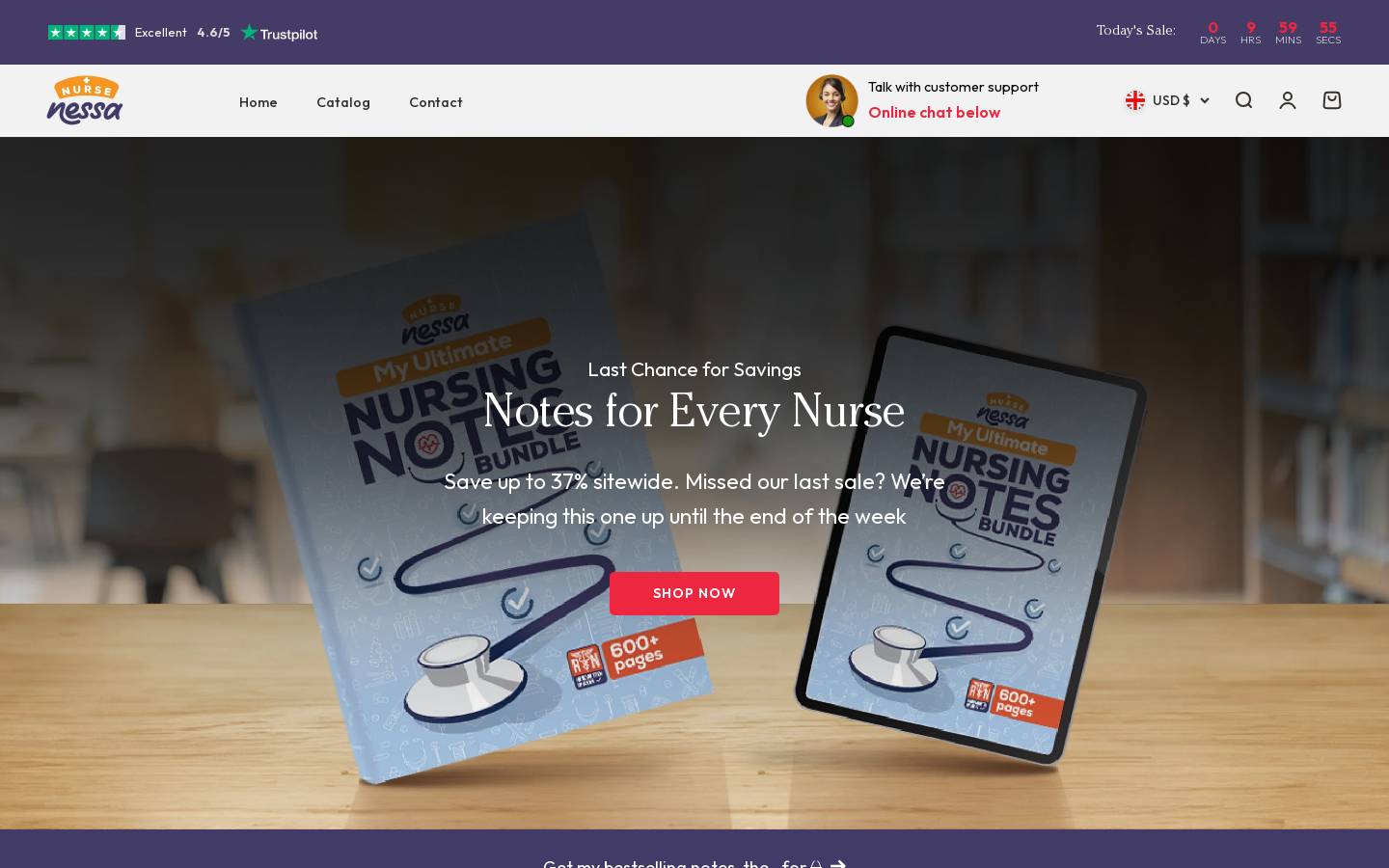 Nursenessa homepage screenshot