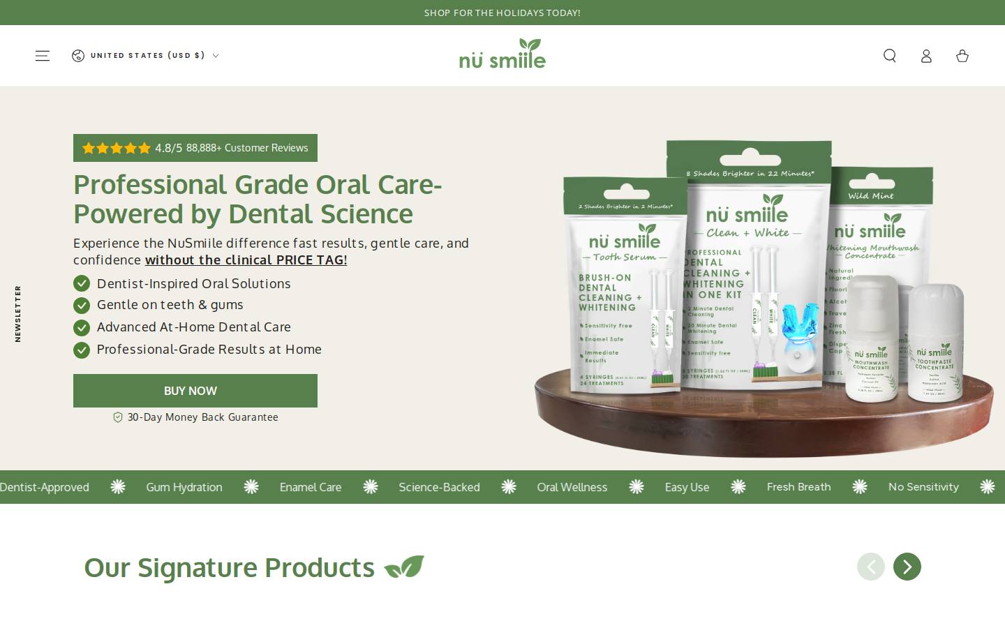 nusmiile.com homepage screenshot