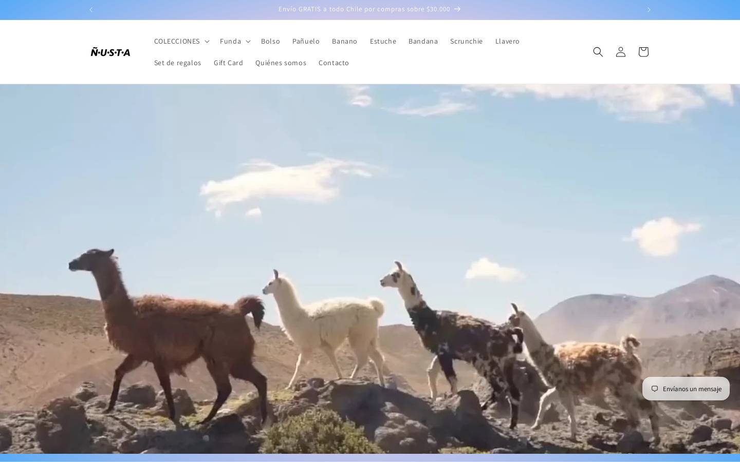 nusta.cl homepage screenshot