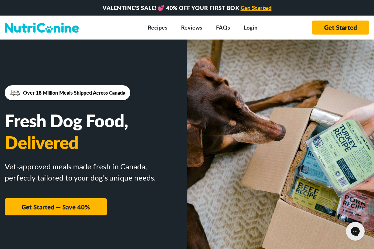 NutriCanine homepage screenshot