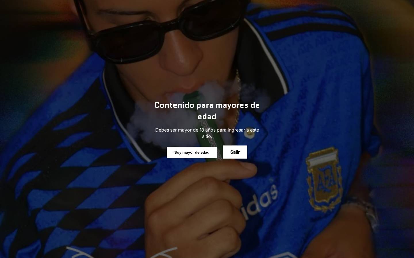 oasismexico.com homepage screenshot
