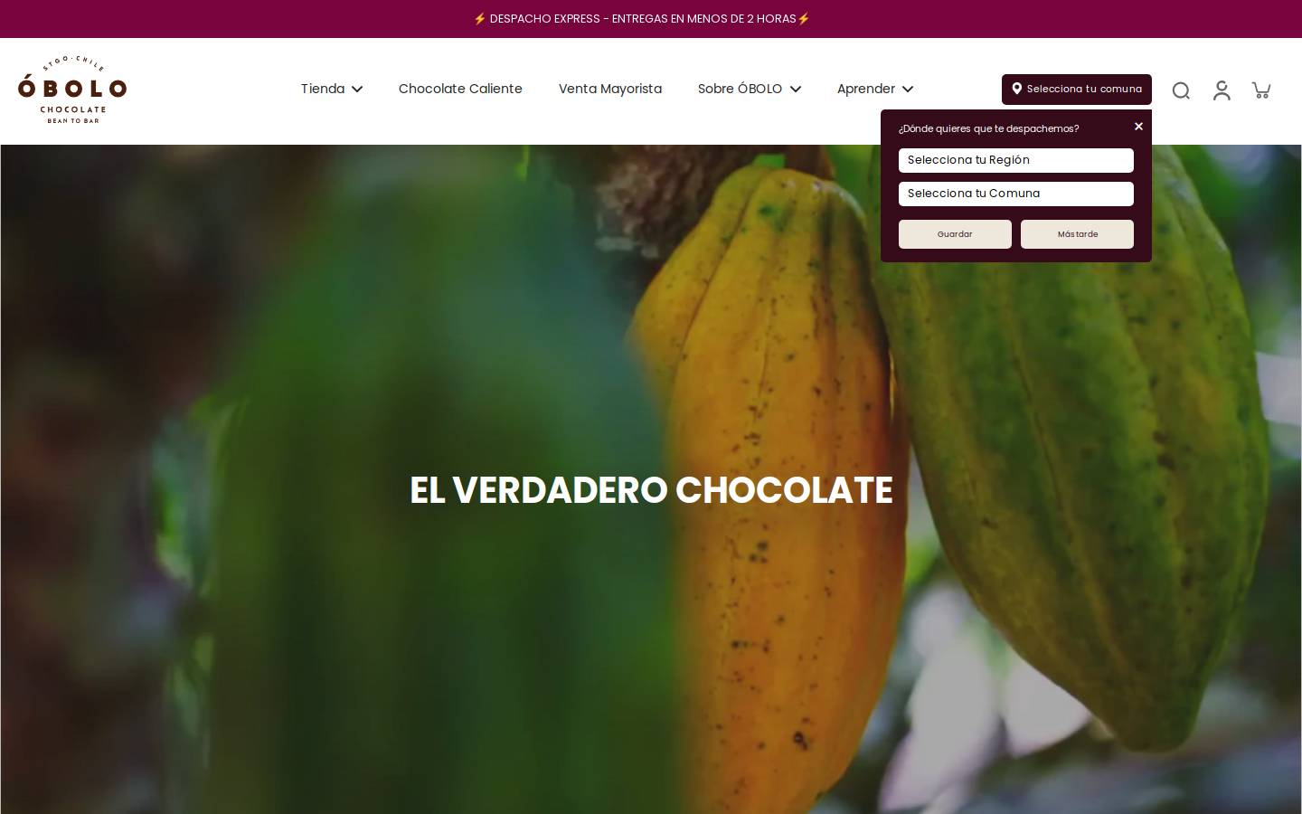 obolochocolate.cl homepage screenshot