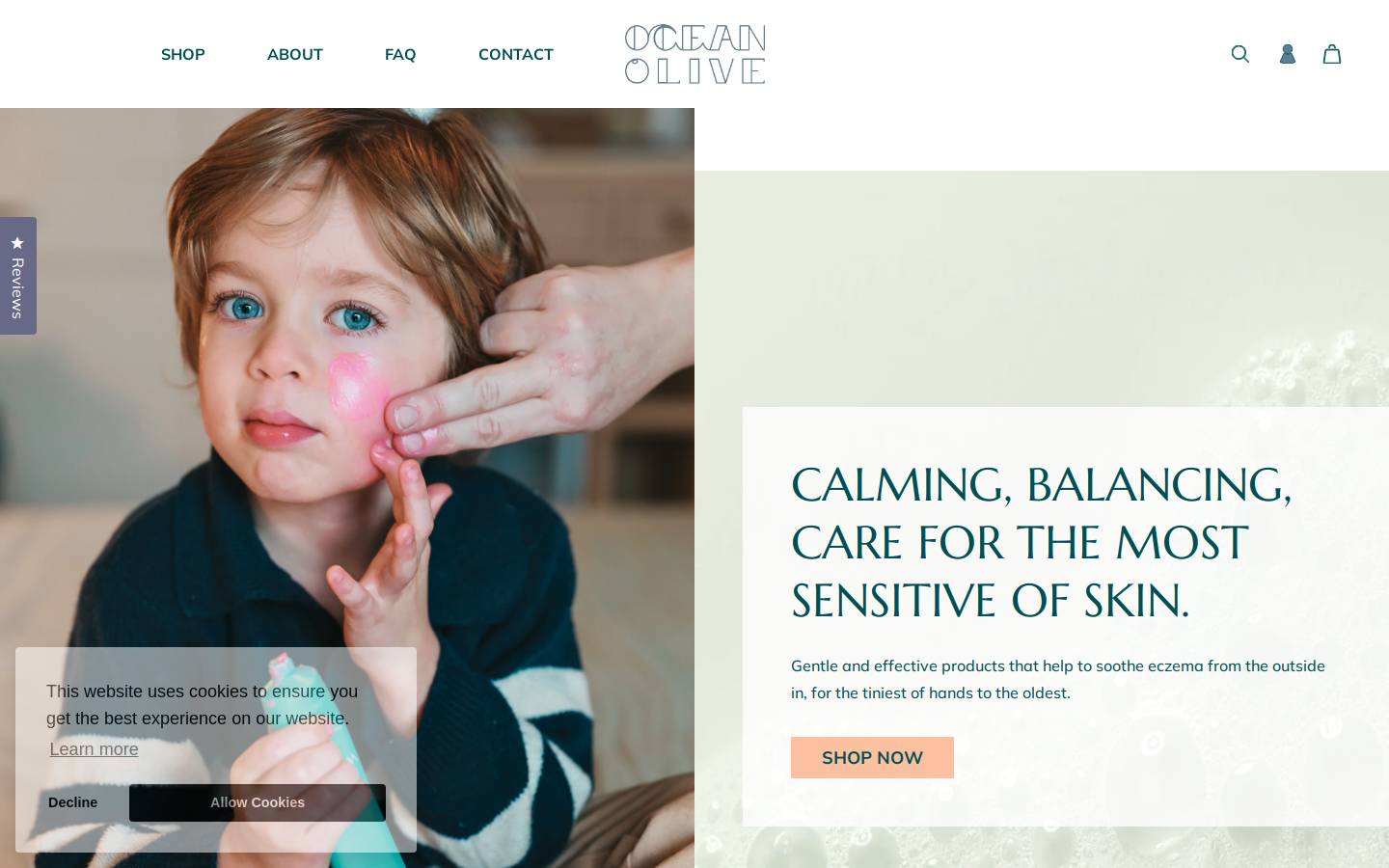 ocean-olive.com homepage screenshot