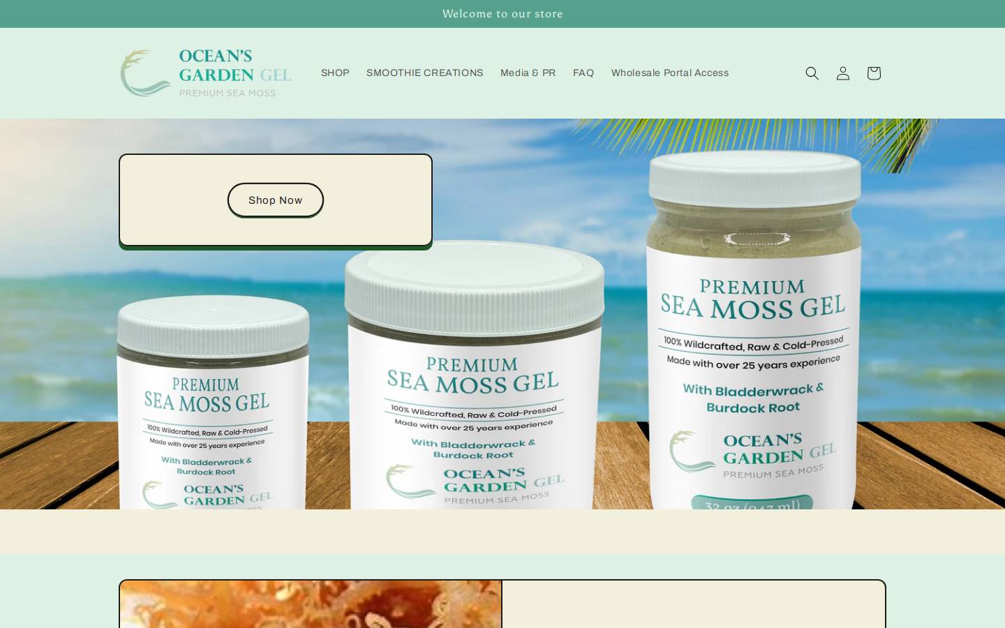 oceansgardengel.com homepage screenshot