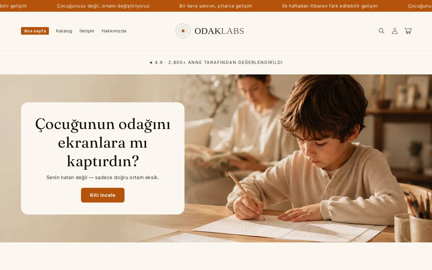 odaklabs.com homepage screenshot