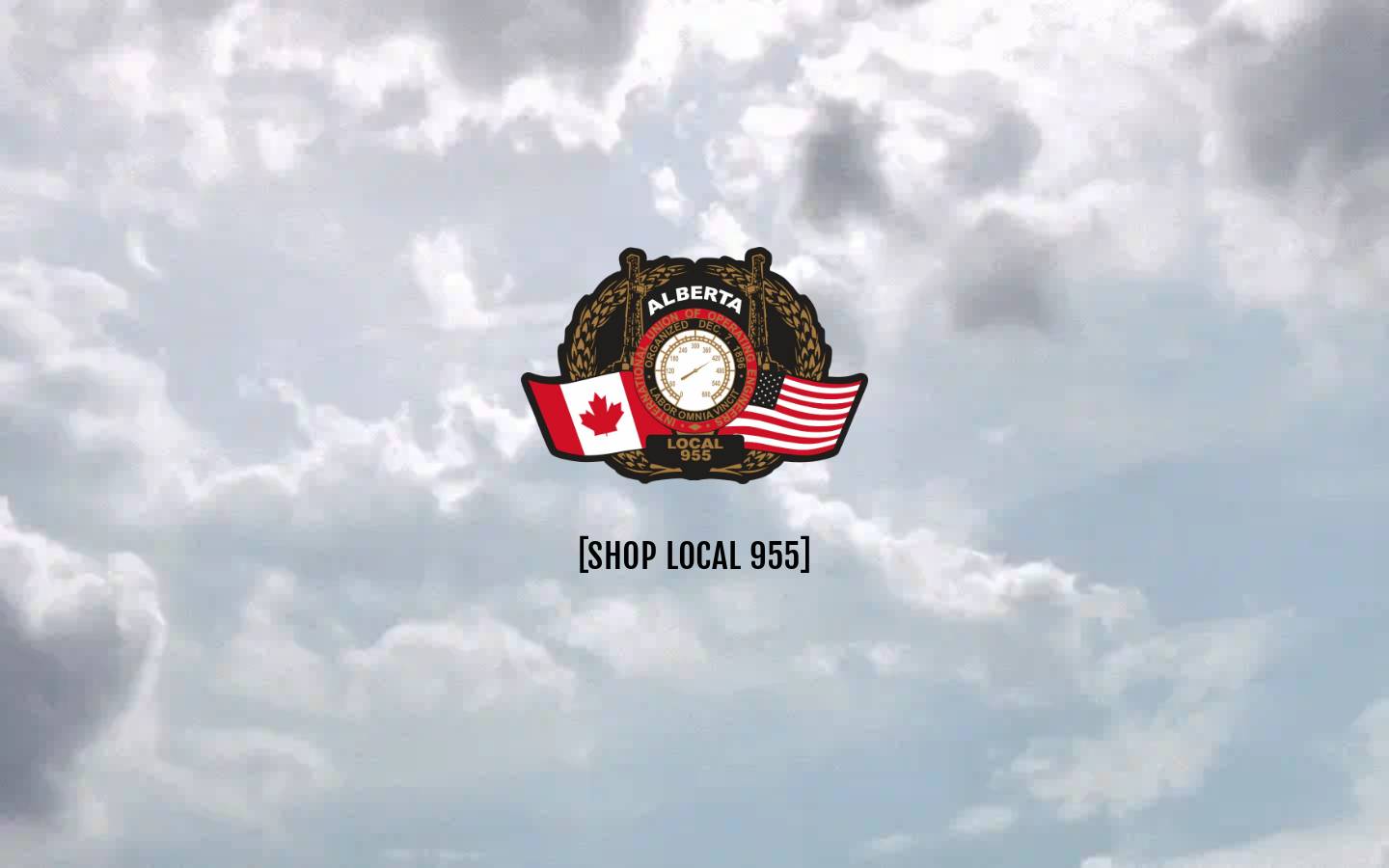 oe955store.com homepage screenshot