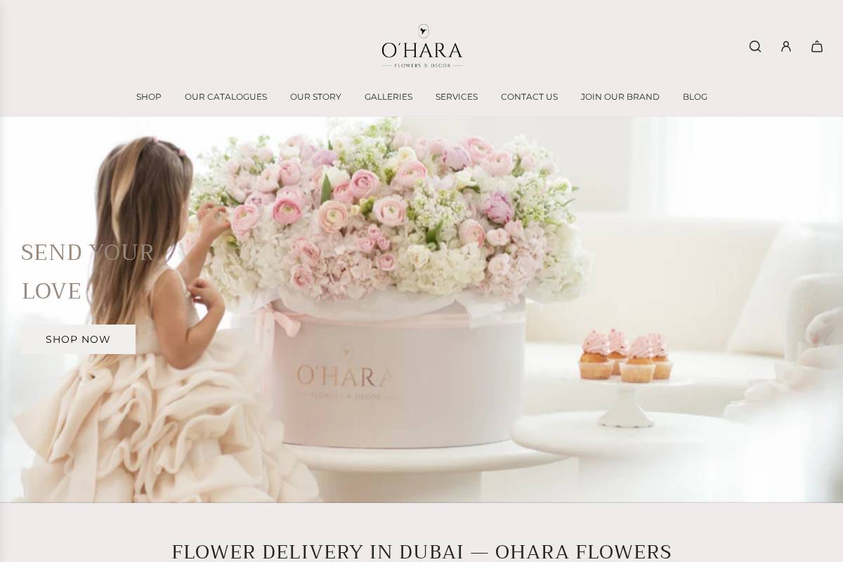 ohara.ae homepage screenshot