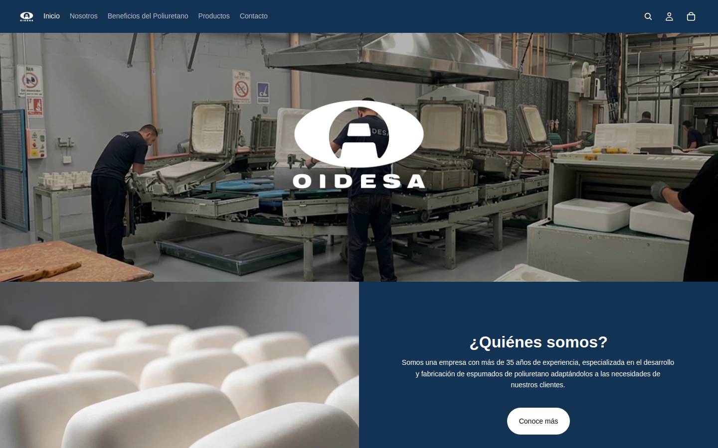 oidesa.com homepage screenshot