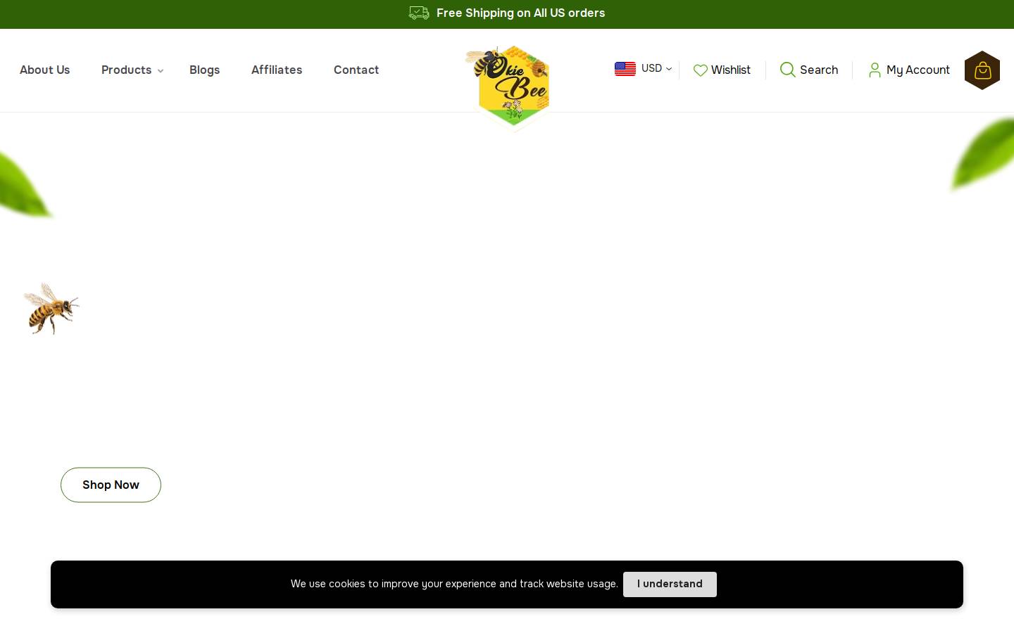 okiebee.com homepage screenshot