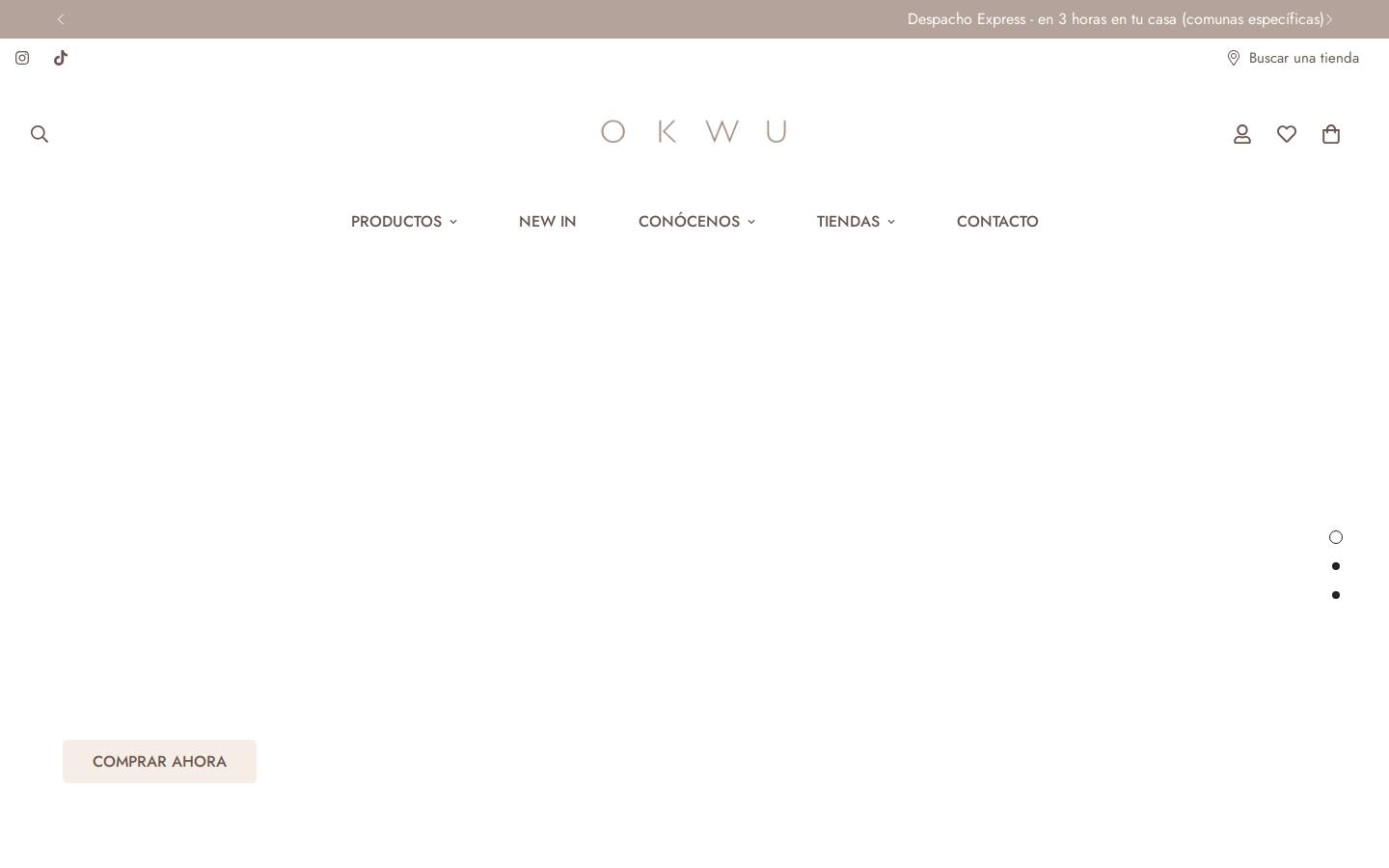 okwu.cl homepage screenshot