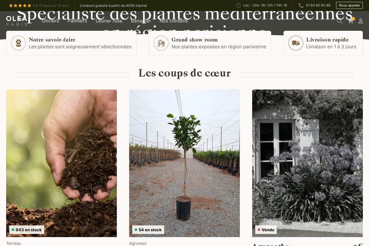 Olea Paris homepage screenshot
