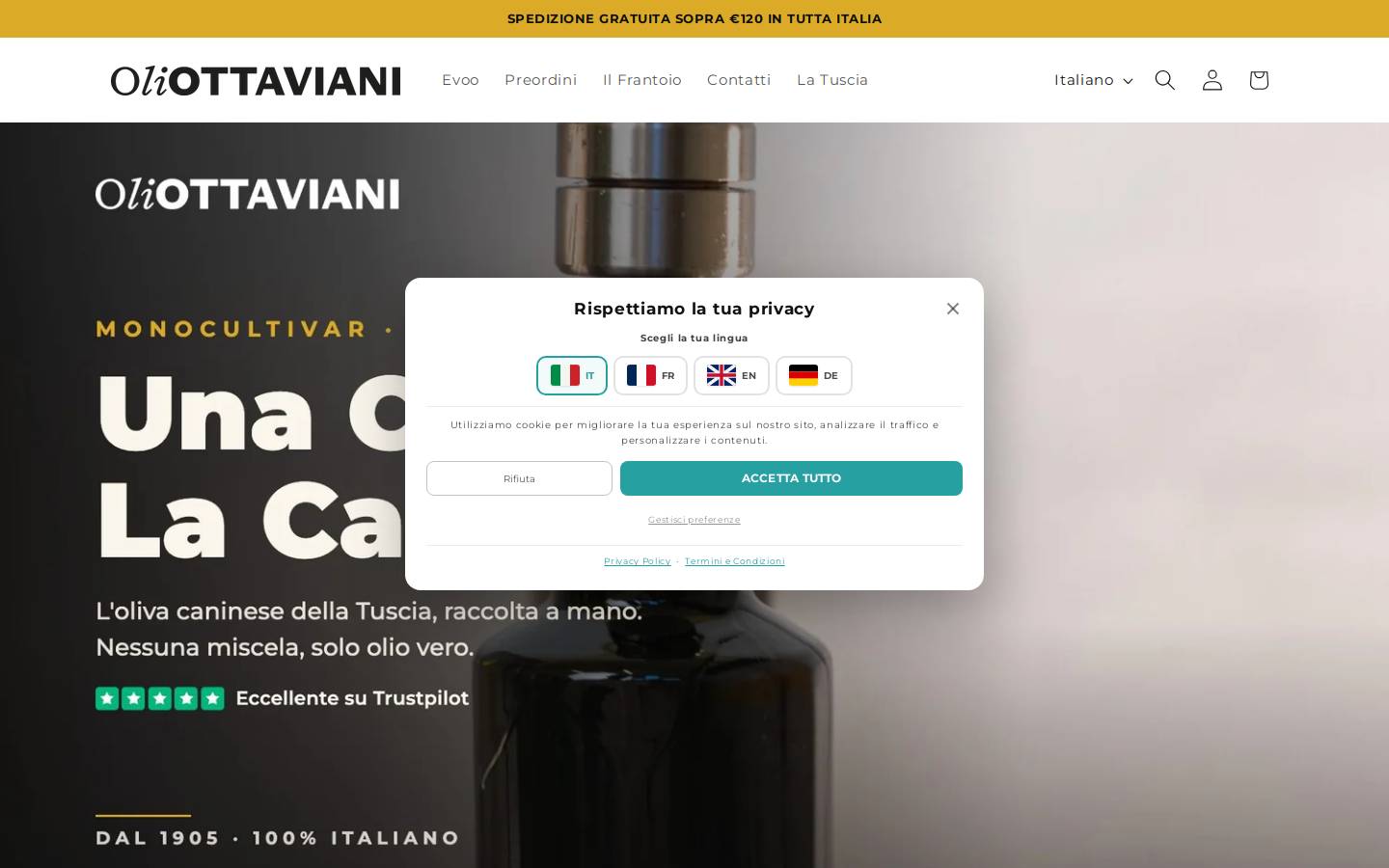 OliOttaviani homepage screenshot