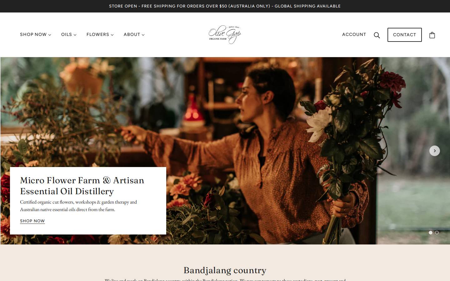 olivegapfarm.com.au homepage screenshot