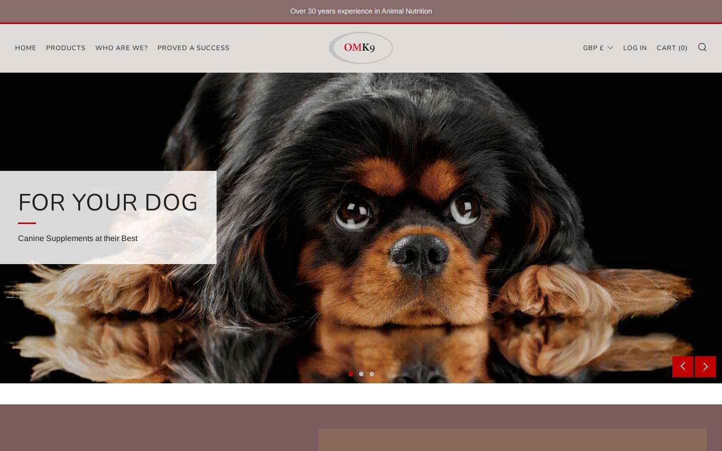 omk9.co homepage screenshot