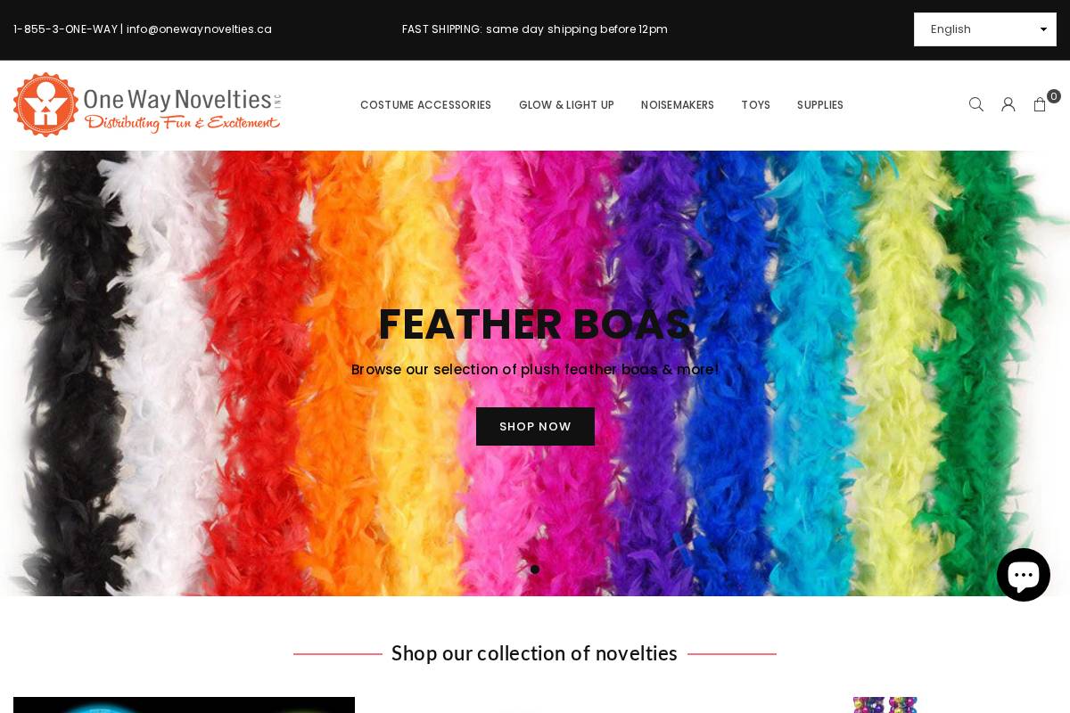 onewaynovelties.com homepage screenshot