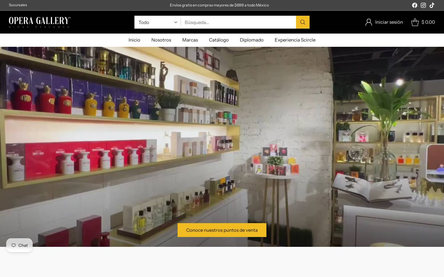 operagallery.com.mx homepage screenshot