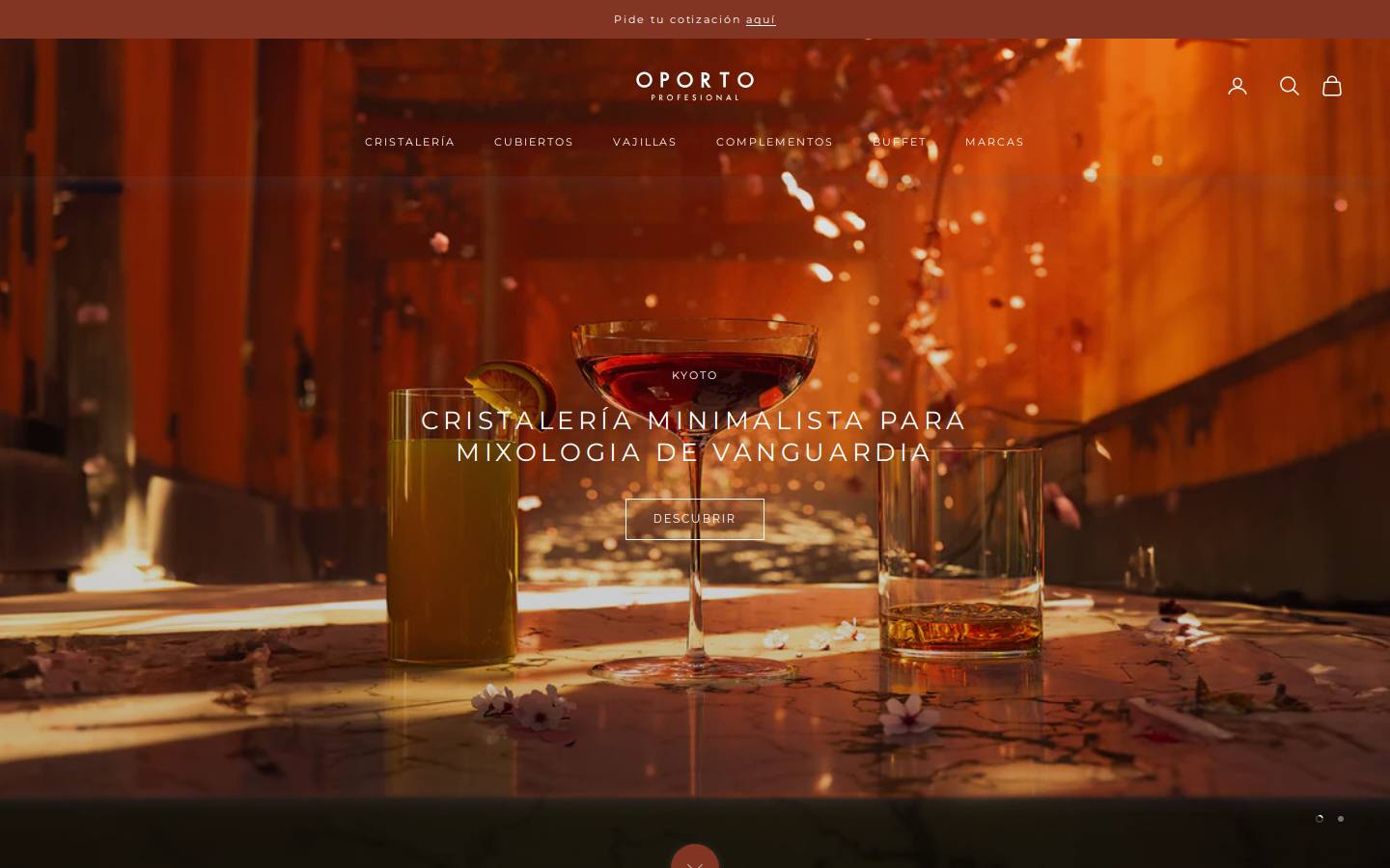 oportoprofesional.com homepage screenshot