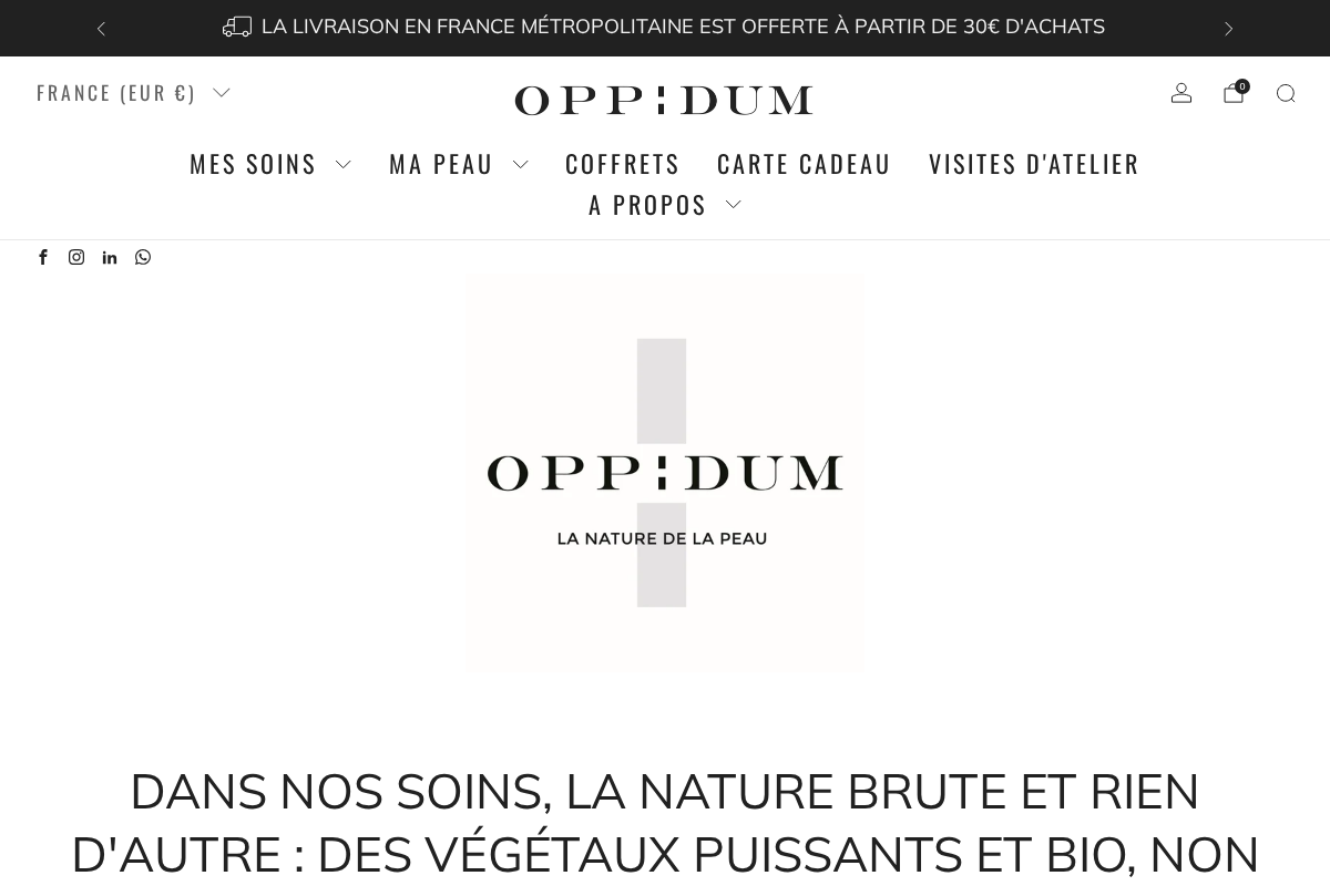 oppidum-france.com homepage screenshot
