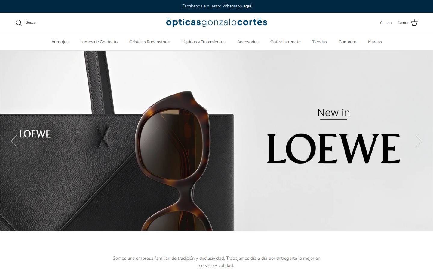 opticagc.cl homepage screenshot