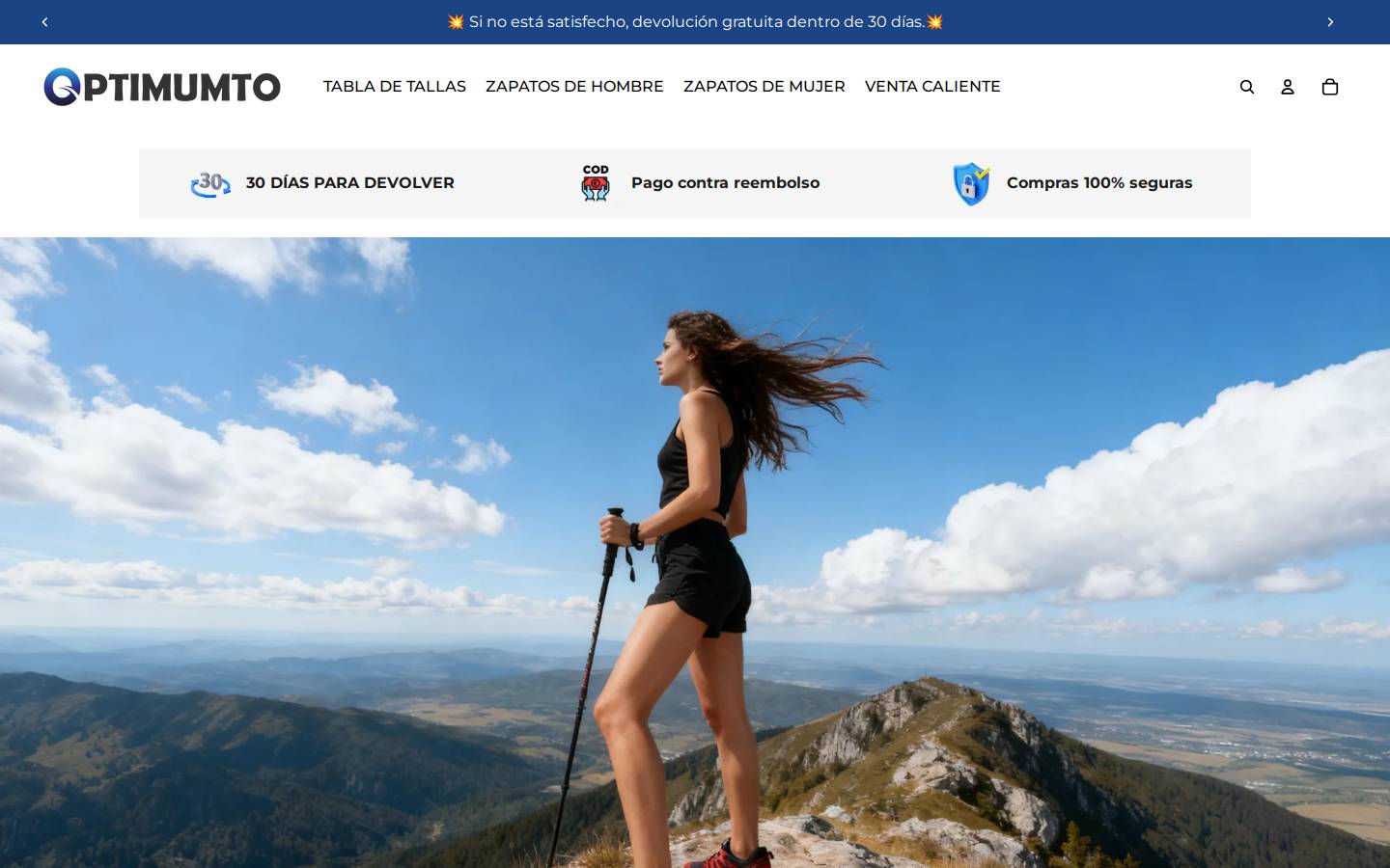 Optimumto homepage screenshot